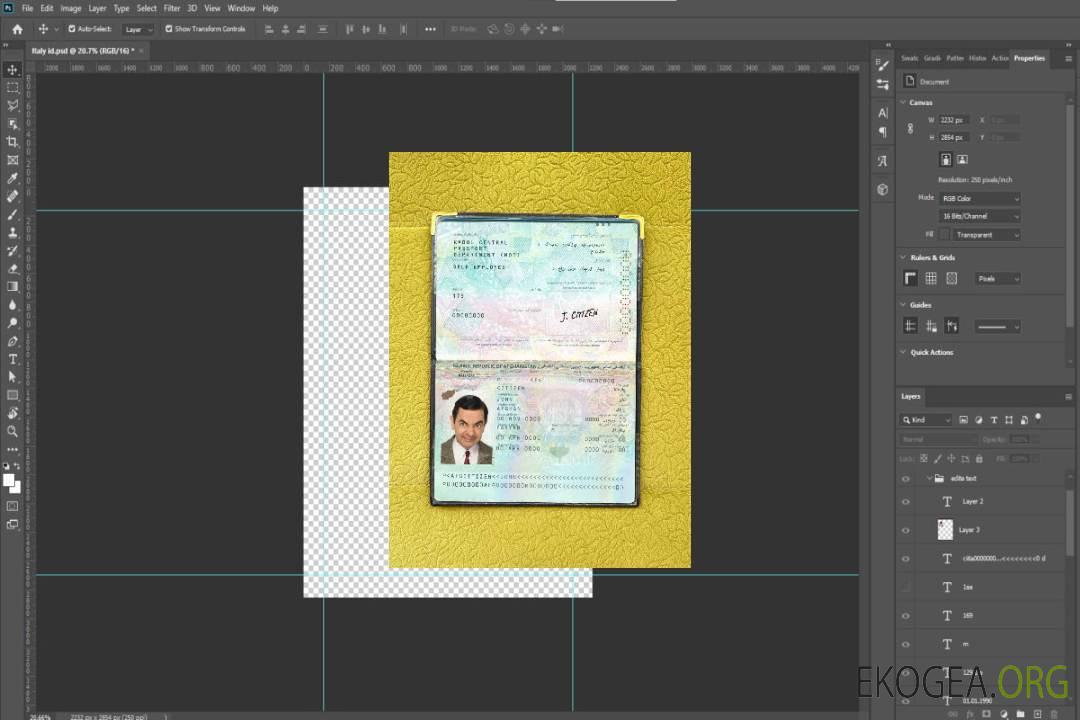 Look de photo de passeport afghan template Look de photo de passeport afghan template